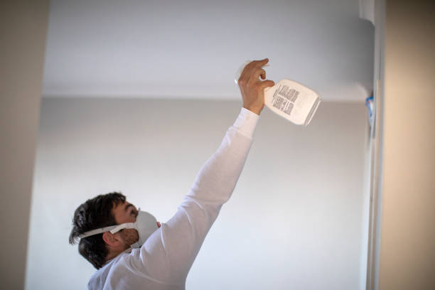 Best Basement Mold Remediation in Wrightwood, CA