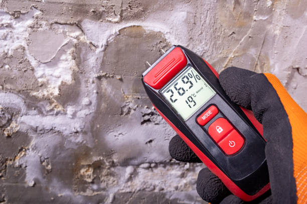 Best Post-Flood Mold Remediation in Wrightwood, CA