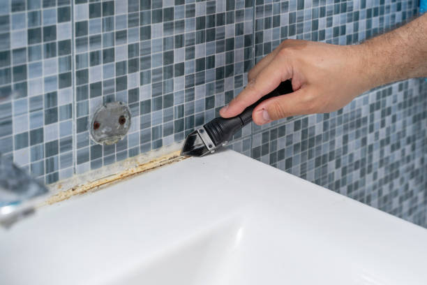 Best Mold Remediation for Schools in Wrightwood, CA